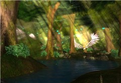 Chakryn Forest (01)