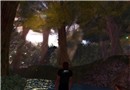 Chakryn Forest (02)
