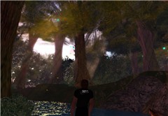 Chakryn Forest (02)