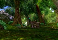 Chakryn Forest (04)