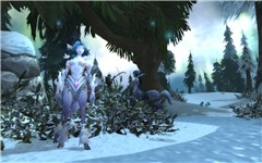 Frost Nymph