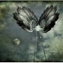 Learning To Fly