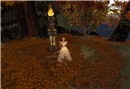 Tempura Island_016