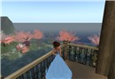 Tempura Island_018