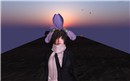 iris_012
