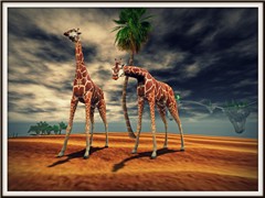 Zoo