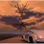University_of_KY_002