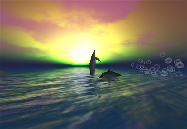 Like the dolphins, like dolphins can swim...