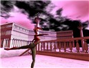 20090126_WITH2
