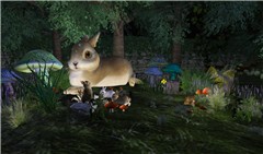 Story time for the woodland animals