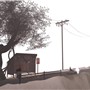 euphoria realm - Torley Linden