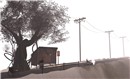 euphoria realm - Torley Linden