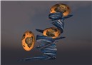 The Egg Comes First! - Dimensional Web