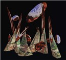Scarpulosa Mentata
