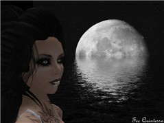 sugar2