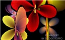 DaisyMaybe_002-1