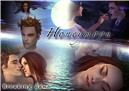 Breaking Dawn-honeymoon