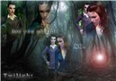 twilight forest2