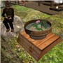 Ten-prim Ecosystem