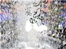 Snapshot_028