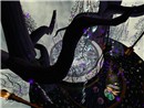 Snapshot_023