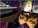 Snapshot_017