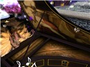 Snapshot_015