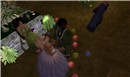 milly and tam's handfasting - watcher Castaignede