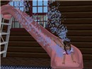 Diving pink
