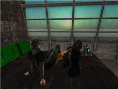 melo_20090127_03