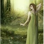 Fairy