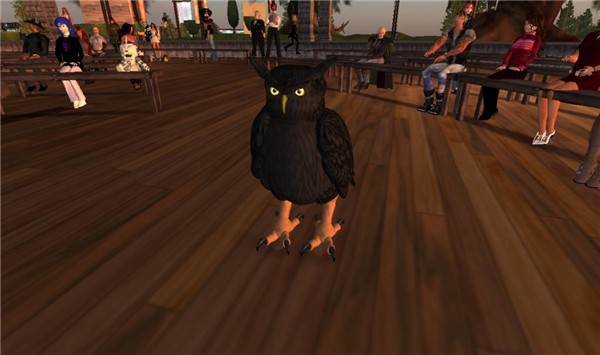 The Avatar-Owl