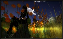 feast_008