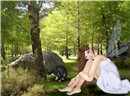 Untitled XD