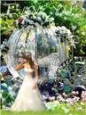 Fairytale Wedding