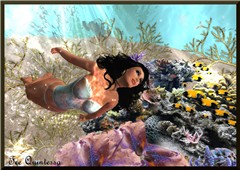 oceanfee