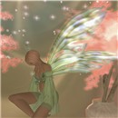 Fairy 2_020