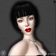 Helianthus-Mesmer