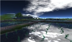 Paddy field, Japan Chubu