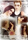 breaking dawn bella