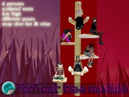 *BR* cat tree module (nature) - Group Photo 6 Persons