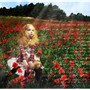 Flower among flowers