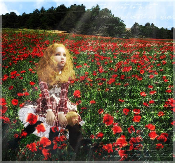 Flower among flowers