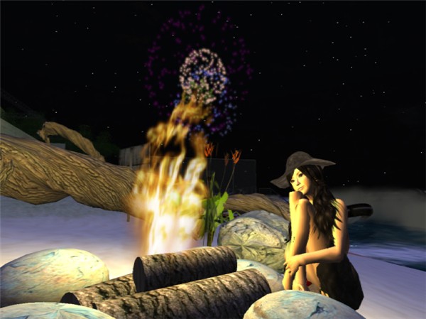 Summer night fireworks
