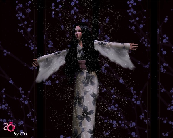 Memoirs of a geisha