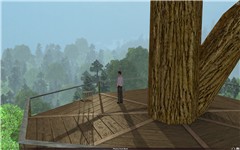 Just Leap In (Tree House)