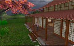 Just Leap In (Dojo Island 1)