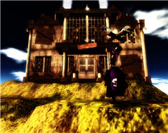 The Asylum