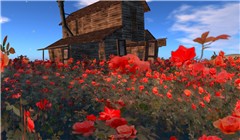 Spring arrived in SL - Koinup Burt