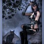 Wild cats